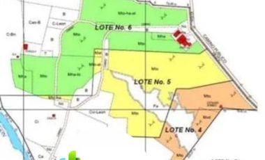 Venta 35.73 Has Sector Chongon-Daular, Via Guayaquil-Salinas, Km 27