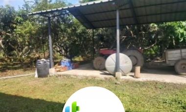 Venta 35.73 Has Sector Chongon-Daular, Via Guayaquil-Salinas, Km 27
