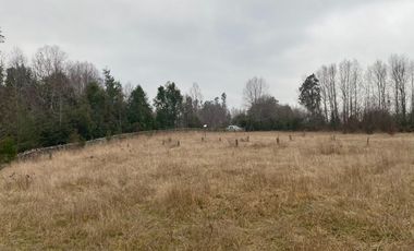 20 min. de Villarrica Casa y parcela aún con amplio espacio