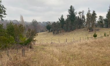 20 min. de Villarrica Casa y parcela aún con amplio espacio