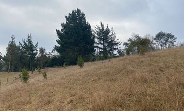 20 min. de Villarrica Casa y parcela aún con amplio espacio