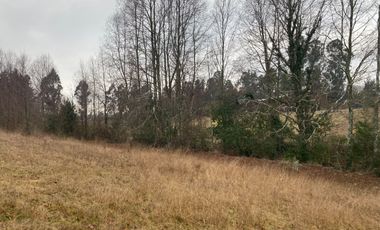 20 min. de Villarrica Casa y parcela aún con amplio espacio