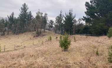 20 min. de Villarrica Casa y parcela aún con amplio espacio