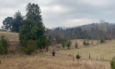 20 min. de Villarrica Casa y parcela aún con amplio espacio