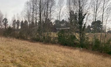 20 min. de Villarrica Casa y parcela aún con amplio espacio