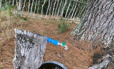 20 min. de Villarrica Casa y parcela aún con amplio espacio