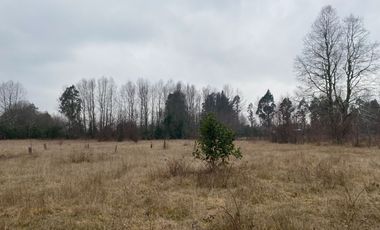 20 min. de Villarrica Casa y parcela aún con amplio espacio