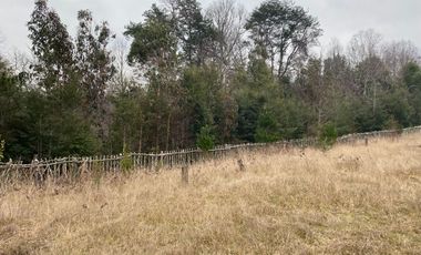 20 min. de Villarrica Casa y parcela aún con amplio espacio