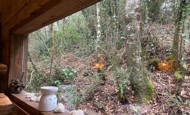 20 min. de Villarrica Casa y parcela aún con amplio espacio