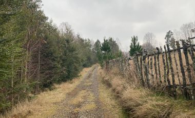 20 min. de Villarrica Casa y parcela aún con amplio espacio