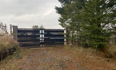 20 min. de Villarrica Casa y parcela aún con amplio espacio