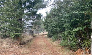 20 min. de Villarrica Casa y parcela aún con amplio espacio