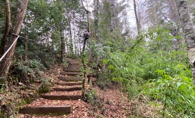 20 min. de Villarrica Casa y parcela aún con amplio espacio