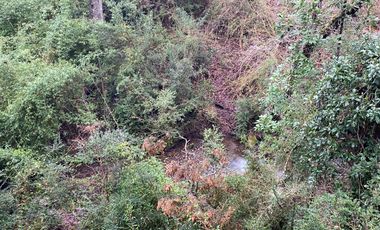 20 min. de Villarrica Casa y parcela aún con amplio espacio