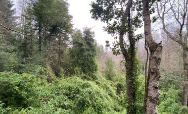 20 min. de Villarrica Casa y parcela aún con amplio espacio