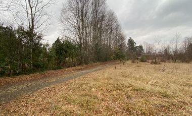 20 min. de Villarrica Casa y parcela aún con amplio espacio