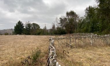 20 min. de Villarrica Casa y parcela aún con amplio espacio