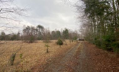 20 min. de Villarrica Casa y parcela aún con amplio espacio