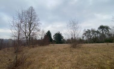 20 min. de Villarrica Casa y parcela aún con amplio espacio