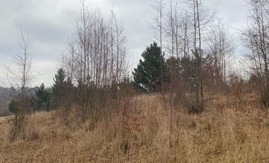 20 min. de Villarrica Casa y parcela aún con amplio espacio