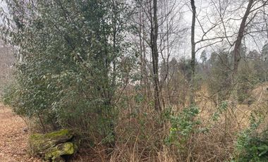 20 min. de Villarrica Casa y parcela aún con amplio espacio