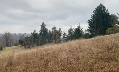 20 min. de Villarrica Casa y parcela aún con amplio espacio