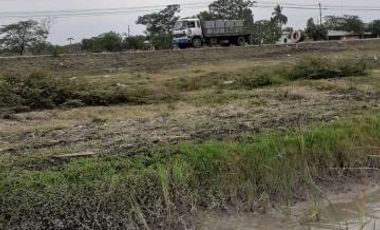 Vendo Terreno 10.000 m² Via Al Pan