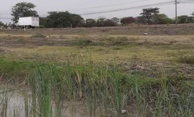 Vendo Terreno 10.000 m² Via Al Pan