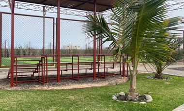 LA PUNTA DE BOMBON