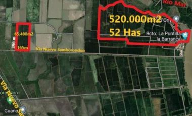 Venta Terreno 52 Has Nuevo Samborondón Cerca Country Club