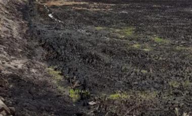 Venta Terreno 52 Has Nuevo Samborondón Cerca Country Club