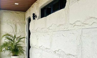 Modern Tropical Contemporary House and Lot for sale inside a high - end Subd.