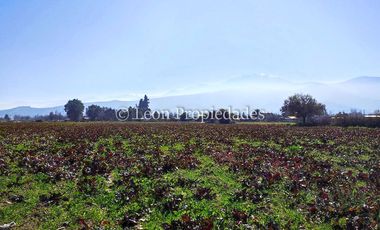 Leon Propiedades vende terreno agrícola de 7.8 ha, en sector Pataguilla, Curacaví.