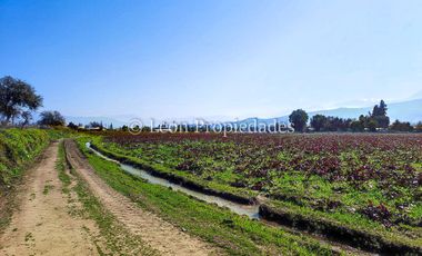 Leon Propiedades vende terreno agrícola de 7.8 ha, en sector Pataguilla, Curacaví.