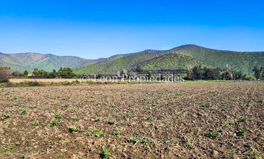Leon Propiedades vende terreno agrícola de 7.8 ha, en sector Pataguilla, Curacaví.