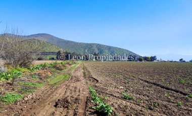Leon Propiedades vende terreno agrícola de 7.8 ha, en sector Pataguilla, Curacaví.