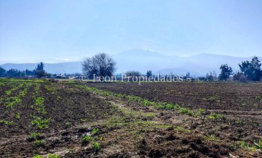 Leon Propiedades vende terreno agrícola de 7.8 ha, en sector Pataguilla, Curacaví.