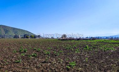 Leon Propiedades vende terreno agrícola de 7.8 ha, en sector Pataguilla, Curacaví.