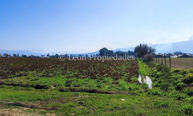 Leon Propiedades vende terreno agrícola de 7.8 ha, en sector Pataguilla, Curacaví.