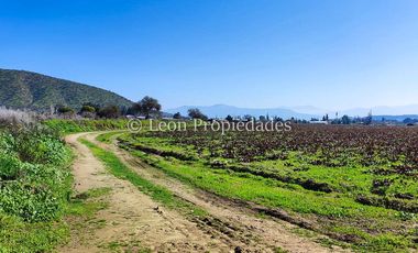 Leon Propiedades vende terreno agrícola de 7.8 ha, en sector Pataguilla, Curacaví.
