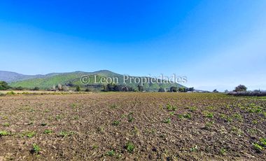 Leon Propiedades vende terreno agrícola de 7.8 ha, en sector Pataguilla, Curacaví.