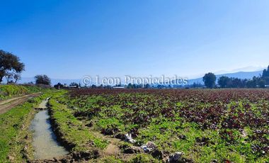 Leon Propiedades vende terreno agrícola de 7.8 ha, en sector Pataguilla, Curacaví.