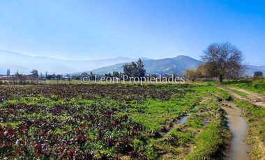 Leon Propiedades vende terreno agrícola de 7.8 ha, en sector Pataguilla, Curacaví.