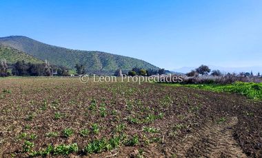 Leon Propiedades vende terreno agrícola de 7.8 ha, en sector Pataguilla, Curacaví.