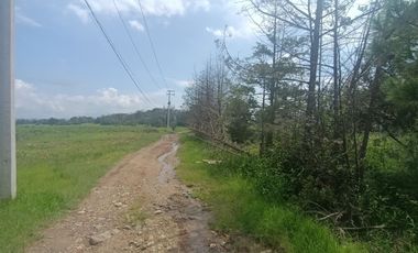Huasca Terreno en venta a 3 minutos del bosque de las truchas.