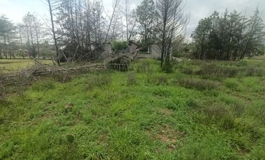 Huasca Terreno en venta a 3 minutos del bosque de las truchas.