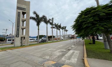 Venta de terreno 16,169.92 m² para desarrollo industrial y logístico en Lurín