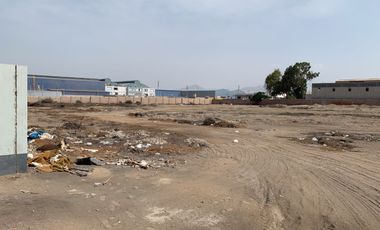 Venta de terreno 16,169.92 m² para desarrollo industrial y logístico en Lurín