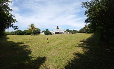 VENDO BODEGA  CON AREA TOTAL 16.000M2 Y 2.000M2 CONSTRUIDOS BARRIO INDUSTRIAL PALMIRA