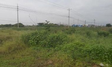 Venta 18.7 Has Vía Al Pan - Samborondon. diagonal al monumento Yunez, a 200 m del peaje